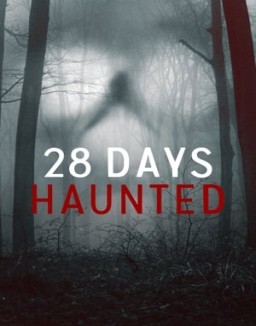 28 Días Paranormales online gratis