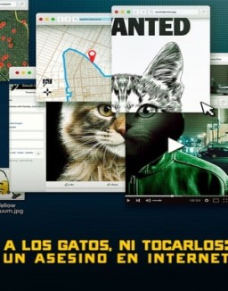 A los gatos ni tocarlos: Un asesino en Internet online gratis