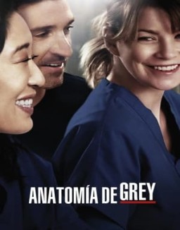 Anatomía de Grey temporada  10 online