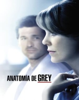 Anatomía de Grey temporada  11 online