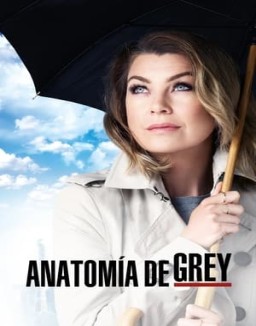 Anatomía de Grey temporada  12 online