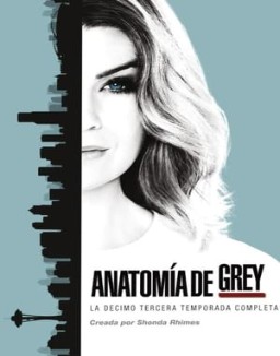Anatomía de Grey temporada  13 online