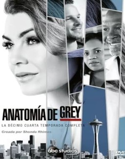 Anatomía de Grey temporada  14 online
