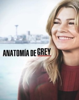 Anatomía de Grey temporada  15 online