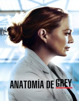 Anatomía de Grey temporada  17 online
