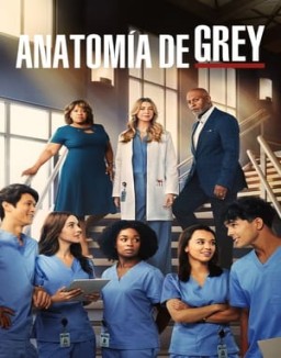 Anatomía de Grey temporada  19 online
