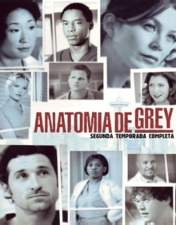 Anatomía de Grey temporada  2 online