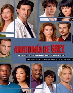 Anatomía de Grey temporada  3 online