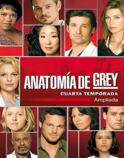 Anatomía de Grey temporada  4 online