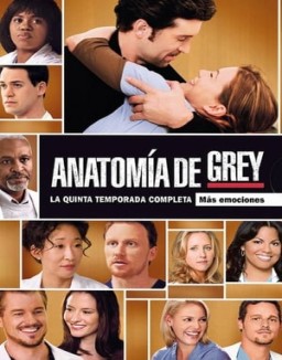 Anatomía de Grey temporada  5 online