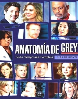 Anatomía de Grey temporada  6 online