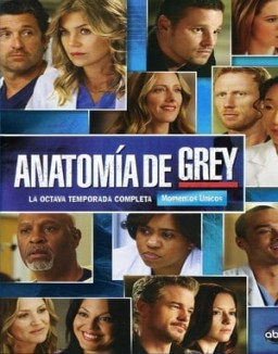 Anatomía de Grey temporada  8 online