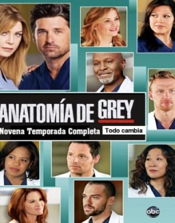Anatomía de Grey temporada  9 online