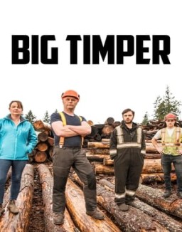 Big Timber online gratis