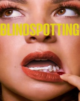 Blindspotting temporada  1 online