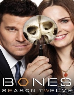 Bones online gratis