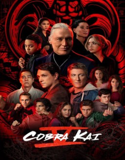 Cobra Kai online gratis