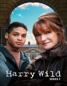Harry Wild online gratis