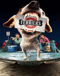 Terriers T1