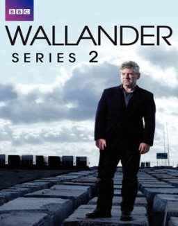 Wallander temporada  2 online